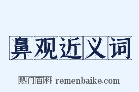 鼻观近义词是什么意思的图片